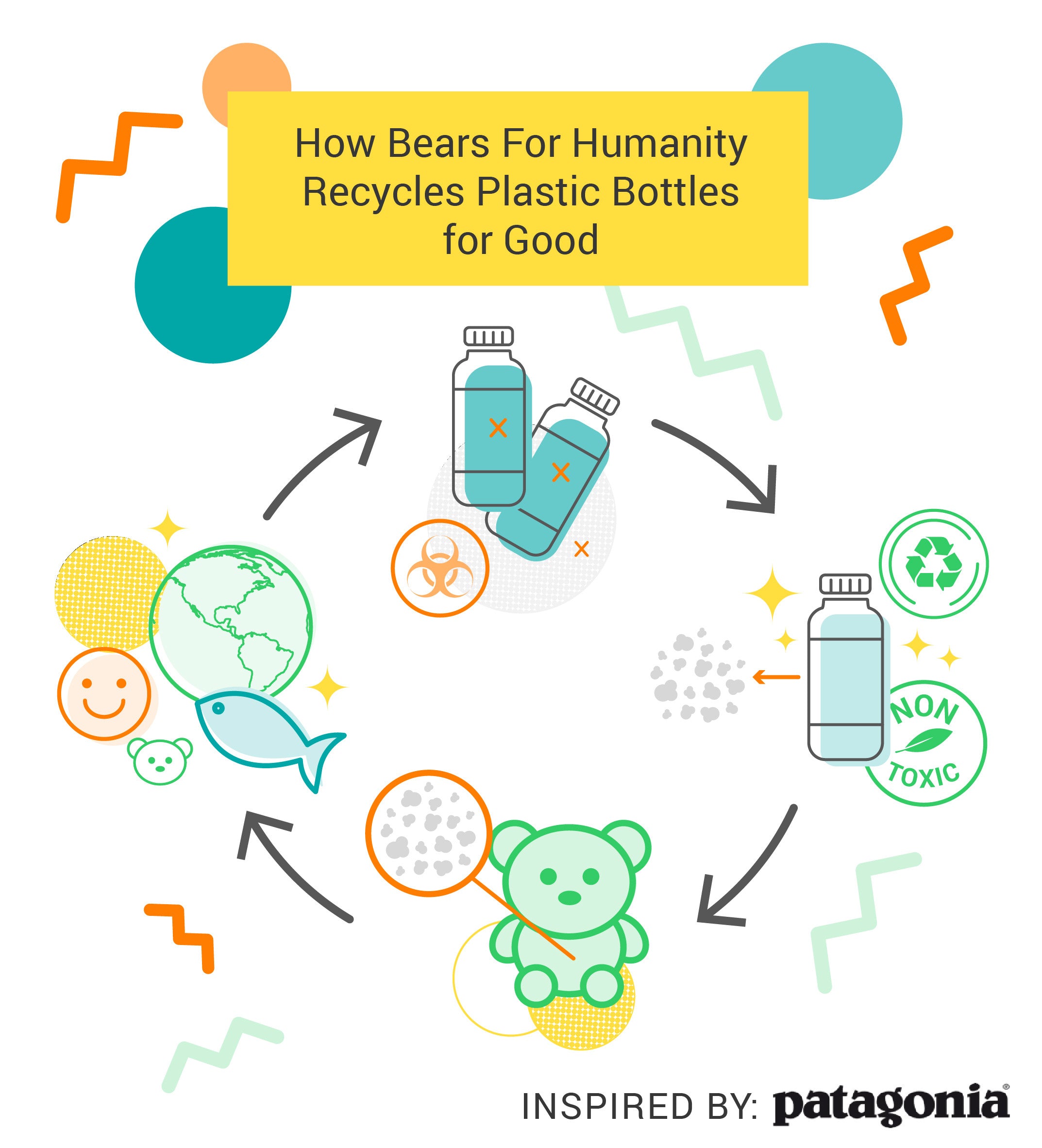 How Bears For Humanity Recycles Plastics Bottles for Good