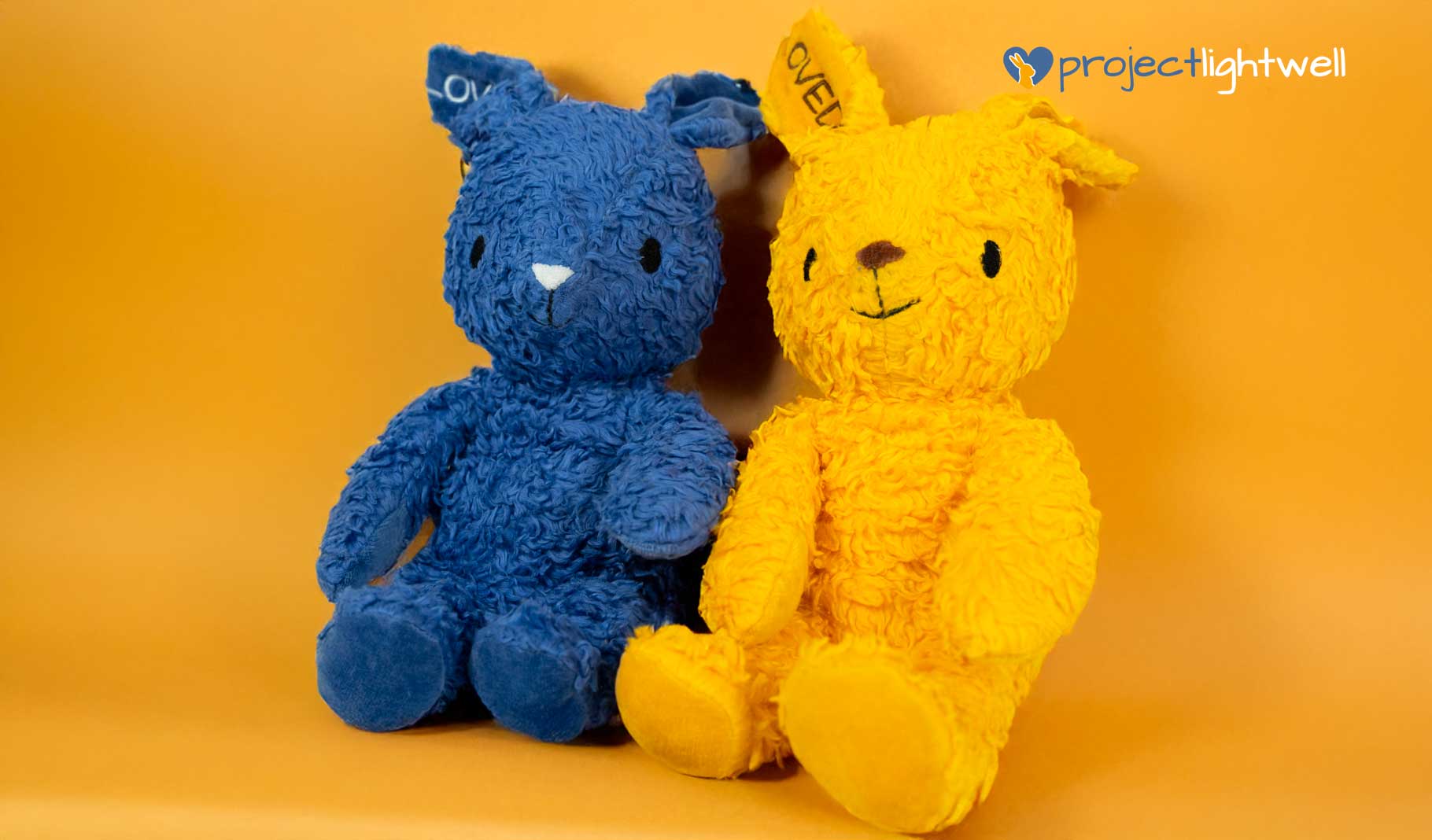 Project Lightwell Rabbits – A Collaboration with Bears for Humanity