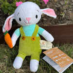 Organic Cotton Baby Boy Bunny Plush - 10" Soft & Safe Companion