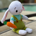 Organic Cotton Baby Boy Bunny Plush - 10" Soft & Safe Companion