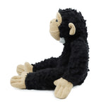 David Greybeard Chimpanzee