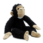 David Greybeard Chimpanzee