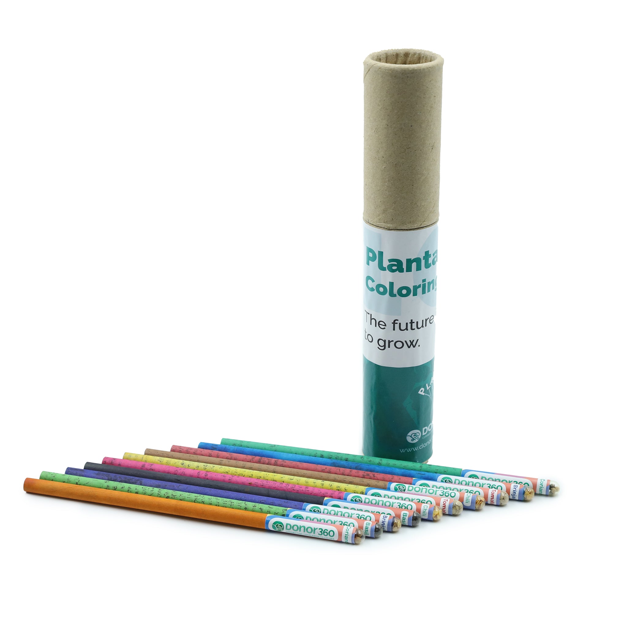 Plantable Seed Colored Pencil Set - 10 Colored Pencils – Bears for Humanity