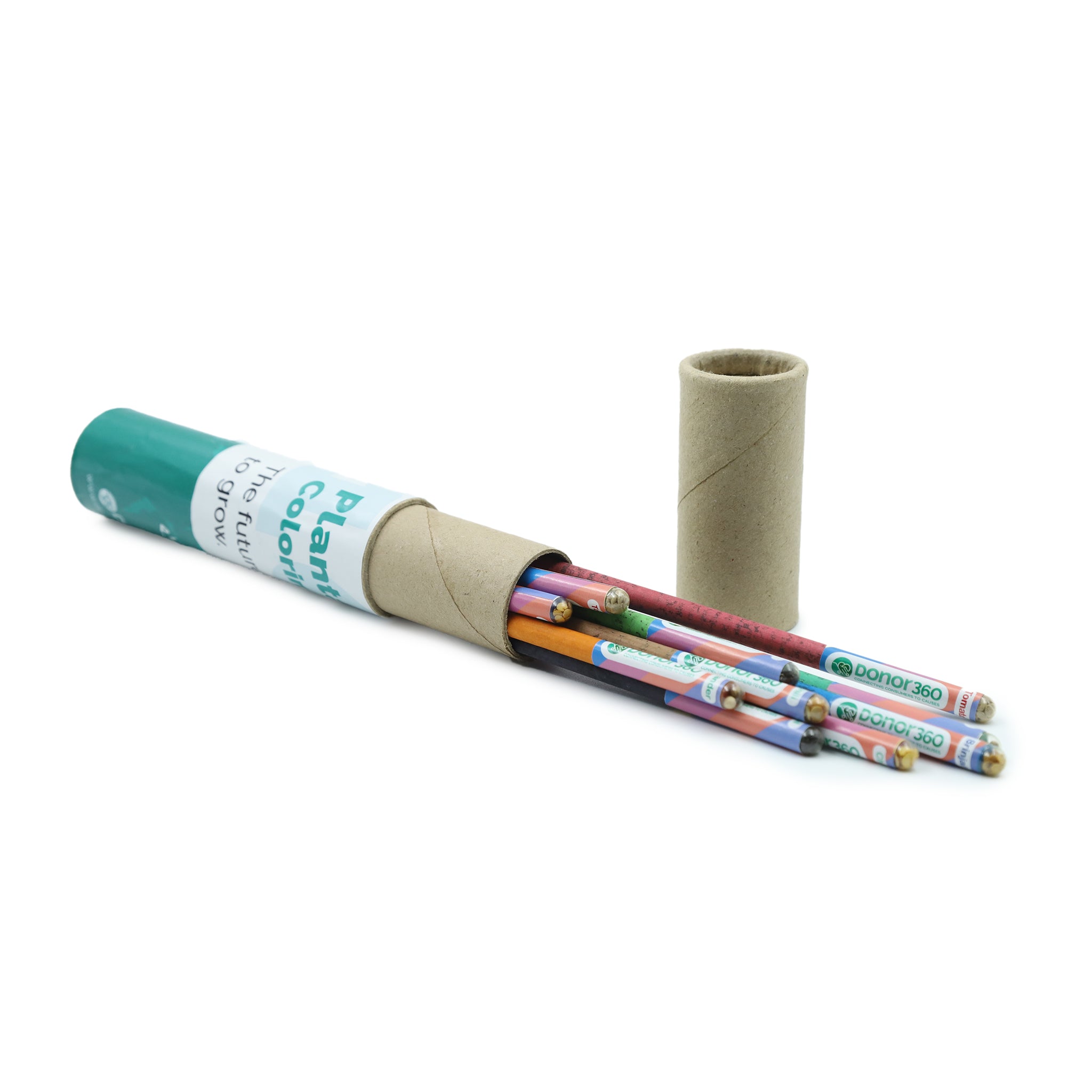 pencils with plant seeds Back to School Kit - Plantable Seed Colored Pencil Set