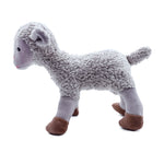 Lamb