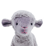 Lamb