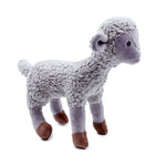 Lamb