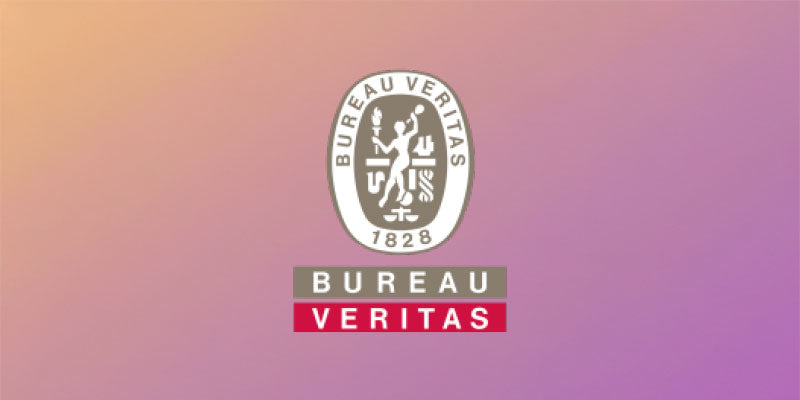 ASTM F963 - US TOY SAFETY TESTING REPORT