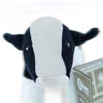 Black & White Cow