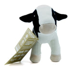 Black & White Cow