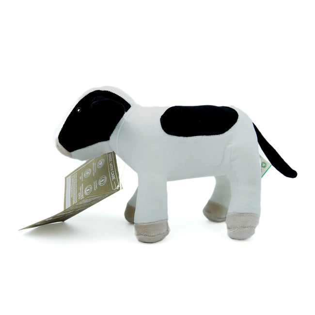 Black & White Cow