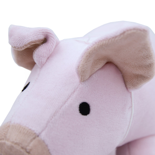 Pink Pig