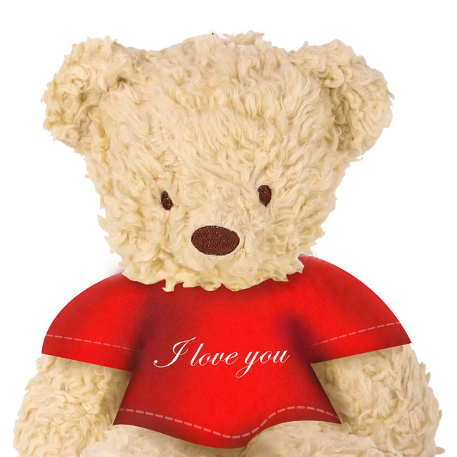 I Love You Herbal Dye Sherpa Bear in ILY T-shirt